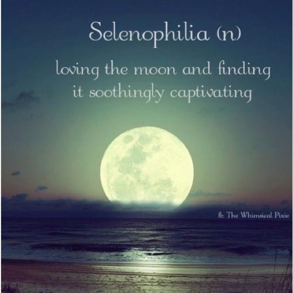 Meet your Posher, Tracey Marie